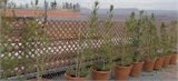 20111220_040419