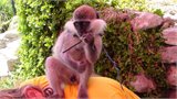 20111220_123206
