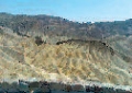 20111221_095954