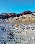 20111221_100048