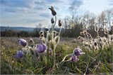 20111223_104244