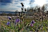 20111223_104436