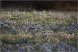20111223_104446