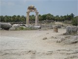 20111230_020231