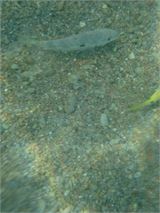 20111230_022641