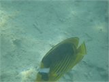 20111230_022641