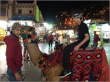 20111230_023312