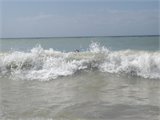 20111230_104925