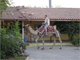 20111230_113240