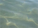 20111230_121653