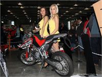 Autosalon Motor Show 2013