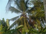DSC01866