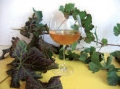 In vino veritas (11-2008)