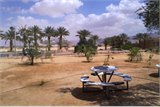 izrael24