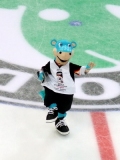 Mistrovství světa v ledním hokeji 2010
