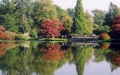 Napuštěný a vypuštěný (10-2008)