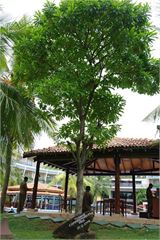 SAM_0138