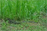 SAM_0149