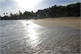 SAM_0209