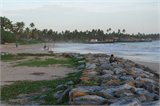 SAM_0244