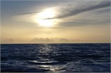 SAM_0250