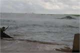 SAM_0353