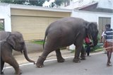 SAM_0373