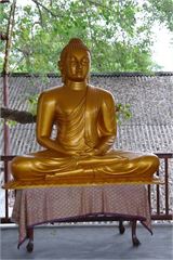 SAM_0401