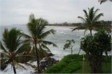 SAM_0424
