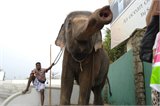 SAM_9637